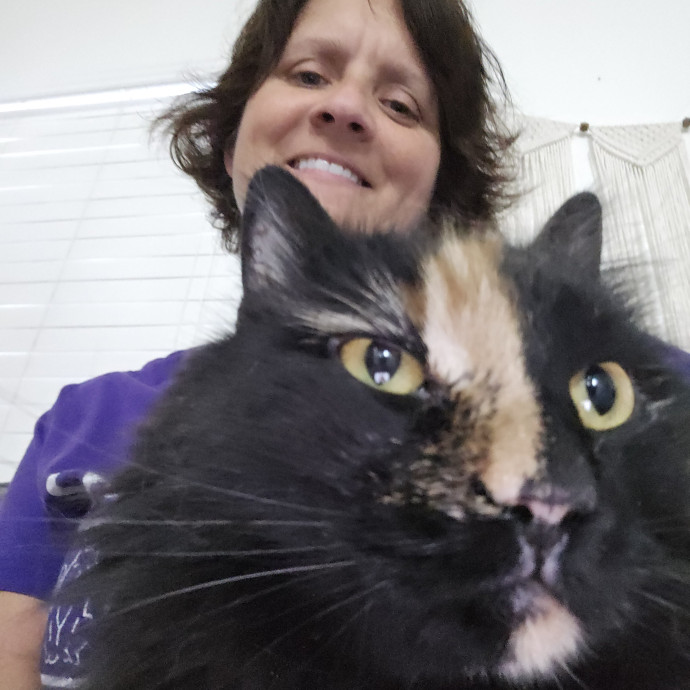 Pawesome And Purrtastic Cat Sitting