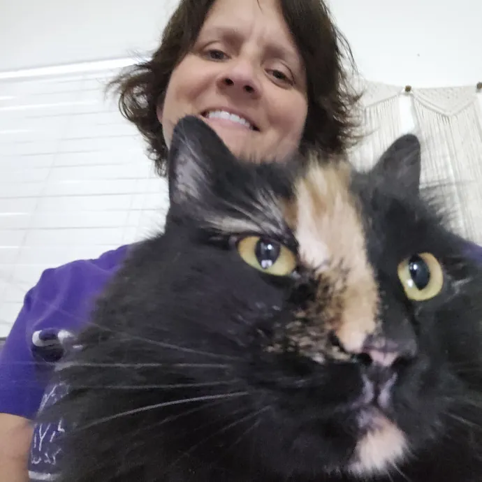 Pawesome And Purrtastic Cat Sitting