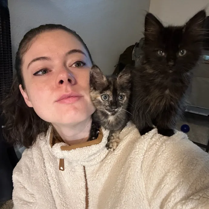 Megan's Weekend And Holiday Cat Care photo 3