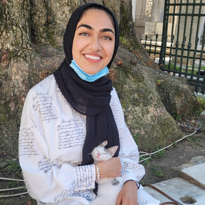 Purr-Fect Cat Sitting In Philly