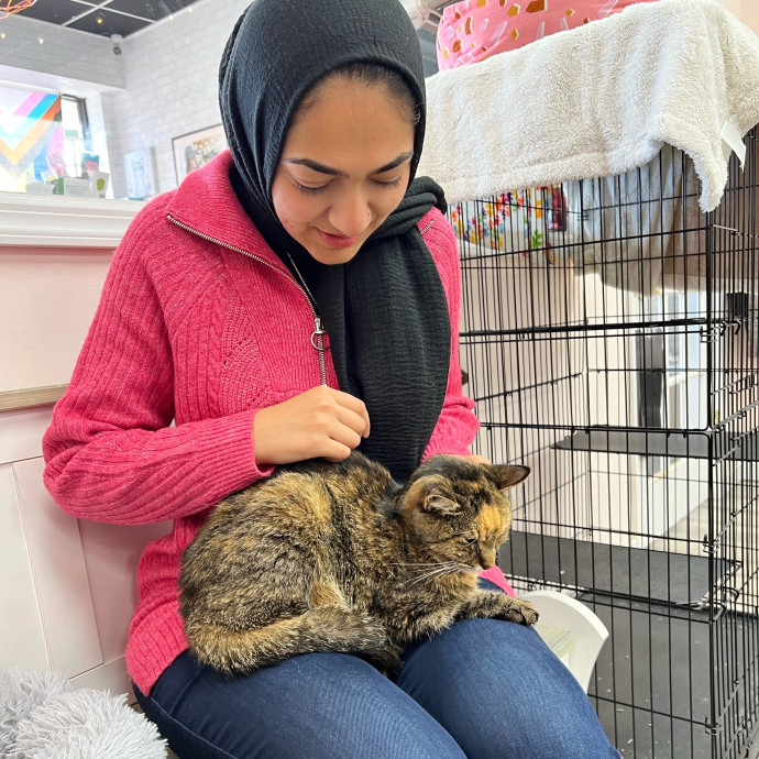 Purr-Fect Cat Sitting In Philly