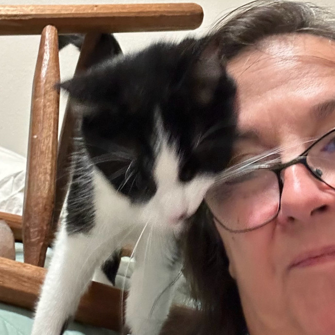 Jean Cat Sitter-Domain-Nw Hills-Arboretum-Cat Mtn-Far West