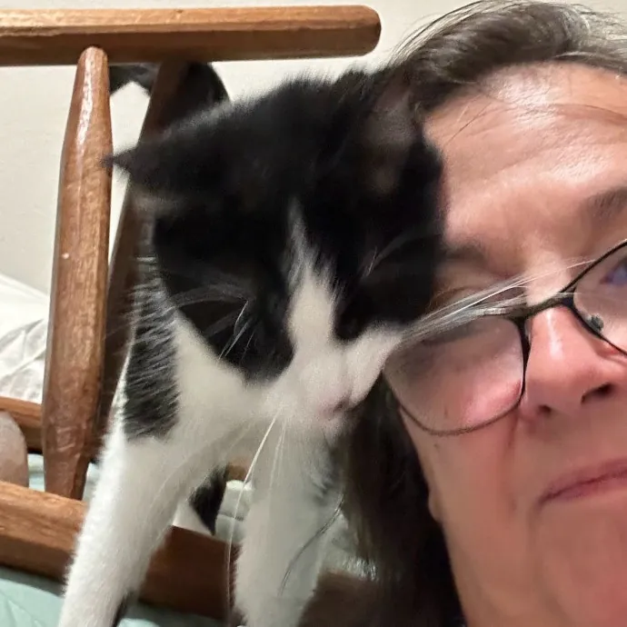 Jean Cat Sitter-Domain-Nw Hills-Arboretum-Cat Mtn-Far West