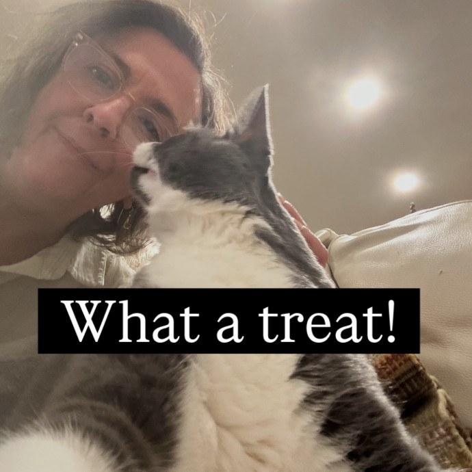 Jean Cat Sitter-Domain-Nw Hills-Arboretum-Cat Mtn-Far West
