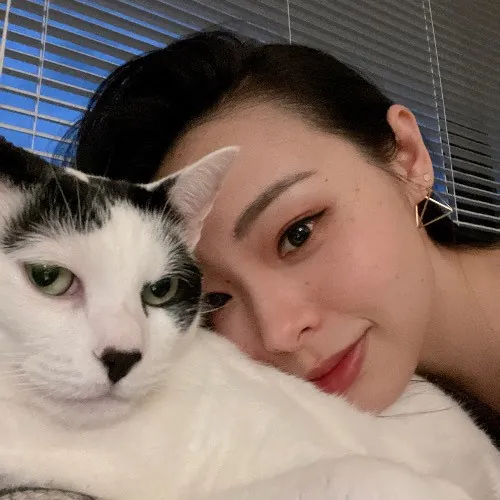 Li's Belmont Cat Care