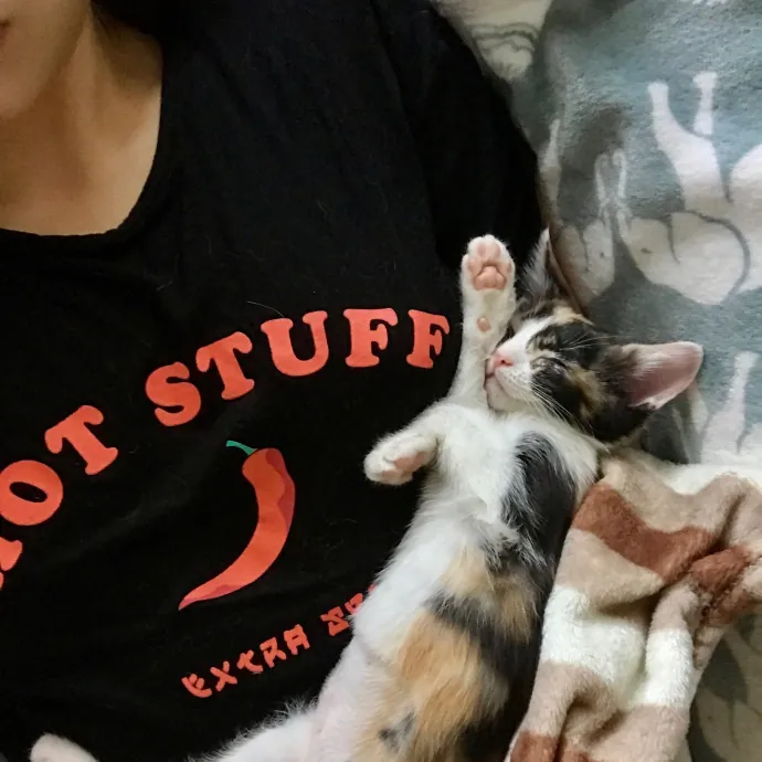 Li's Belmont Cat Care