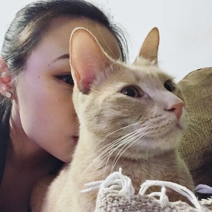 Li's Belmont Cat Care