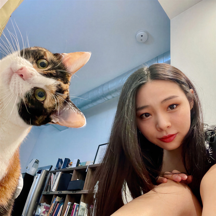 Li's Belmont Cat Care