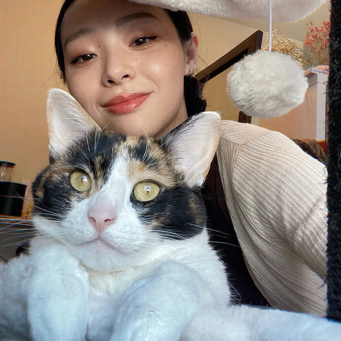 Li's Belmont Cat Care photo 3