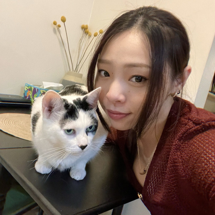 Li's Belmont Cat Care photo 2