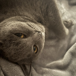 Photo #4