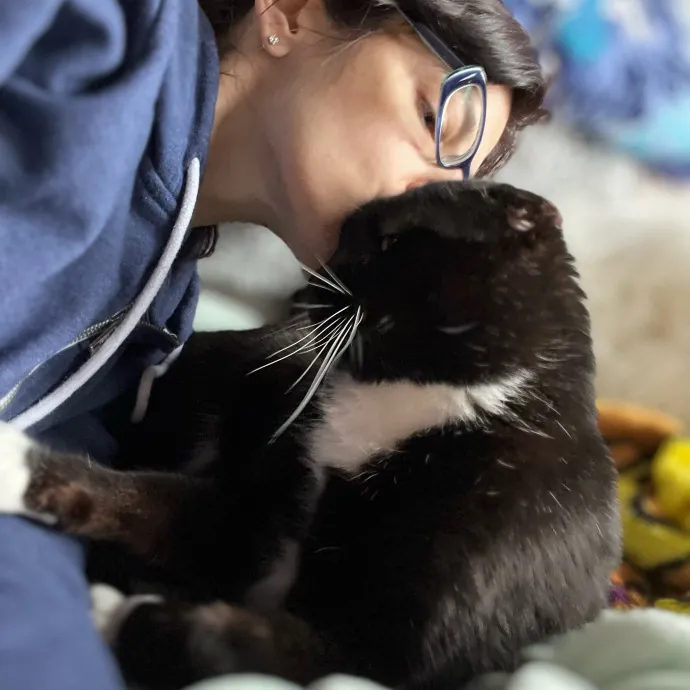 Intelligent And Empathetic Cat Friend