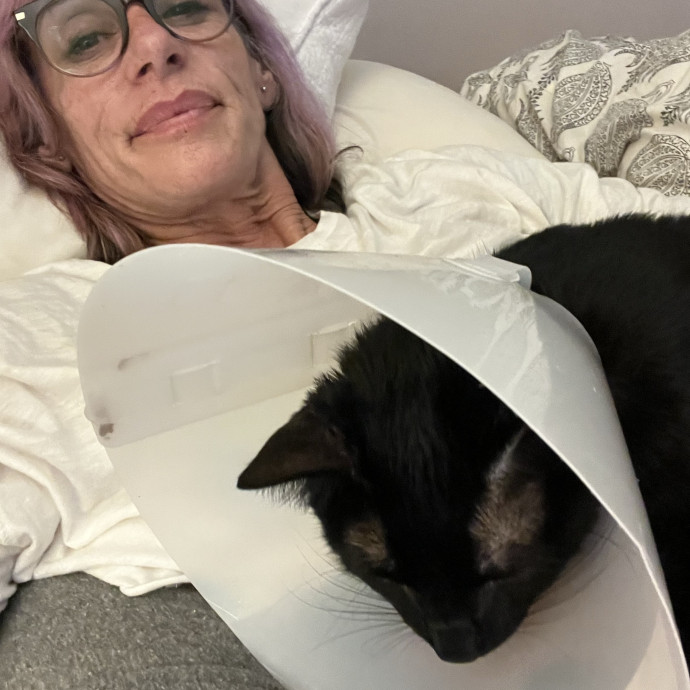 I Could Not Live Without My Cats photo 2
