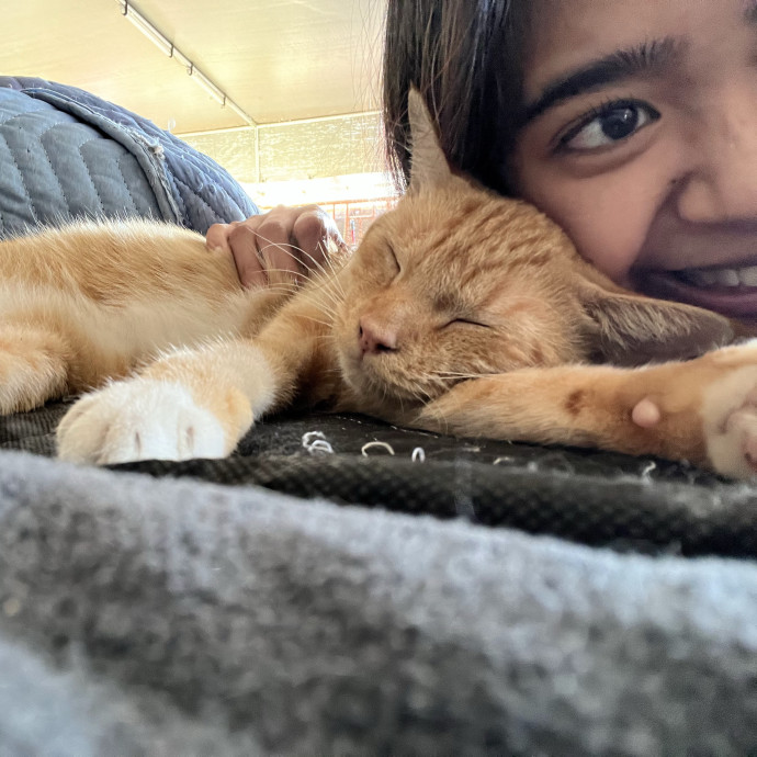 A Little More Love One Paw At A Time
