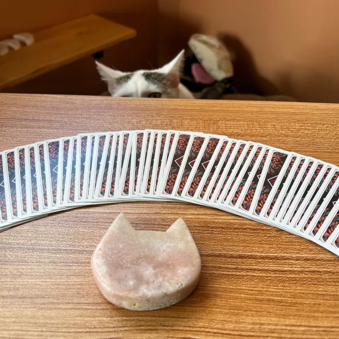 Caring Cat Companion