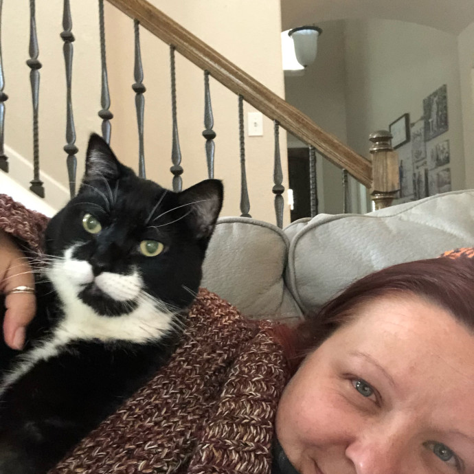 Caring Cat Companion