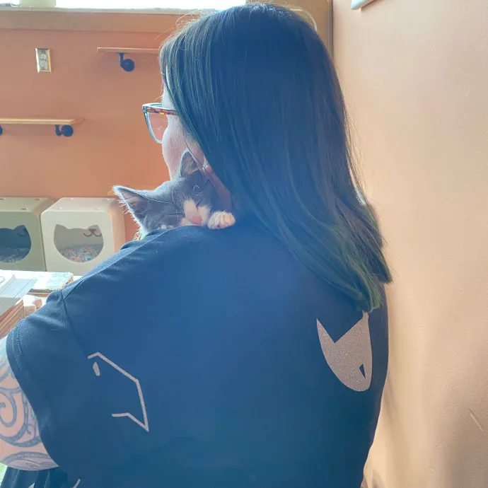 Caring Cat Companion