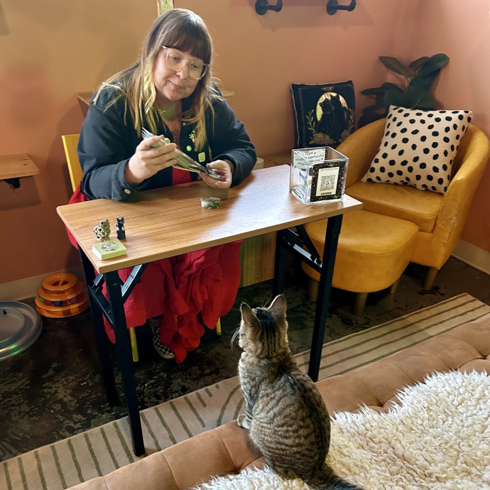 Caring Cat Companion