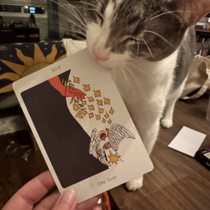Caring Cat Companion