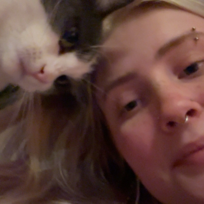 All Feline Friends Are Welcome