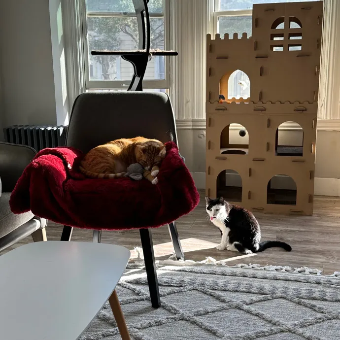 Jennifer Kitty Lover In Sf