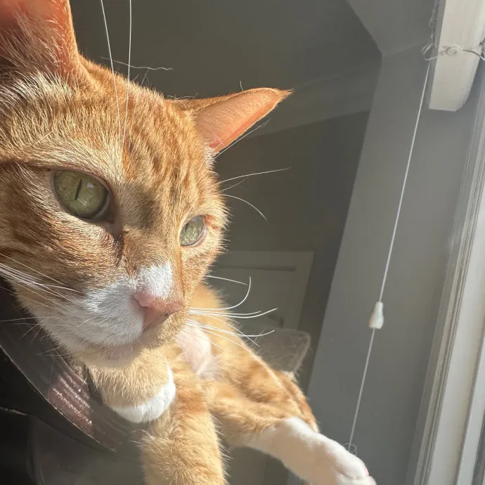 Jennifer Kitty Lover In Sf