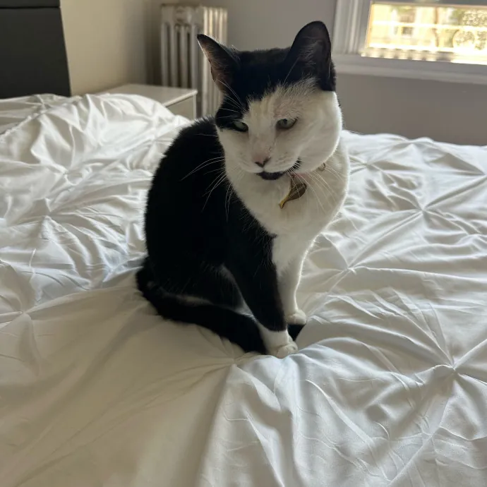 Jennifer Kitty Lover In Sf