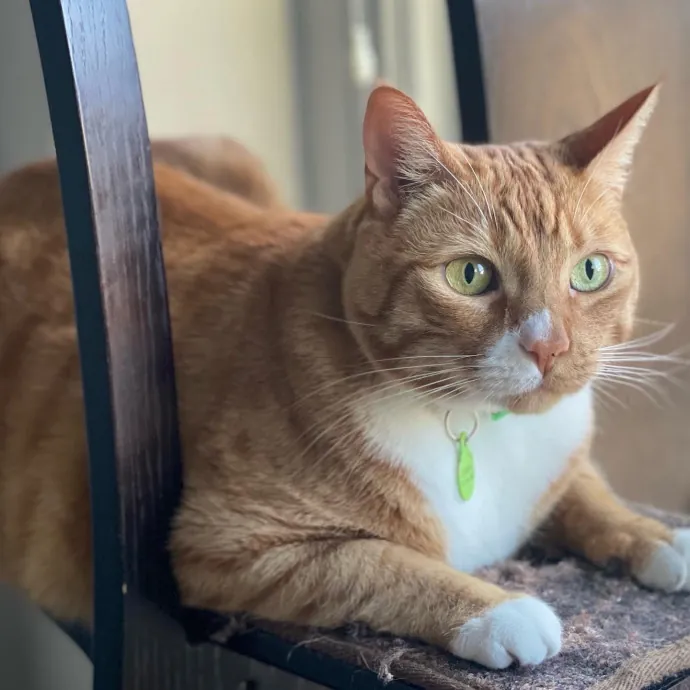 Jennifer Kitty Lover In Sf