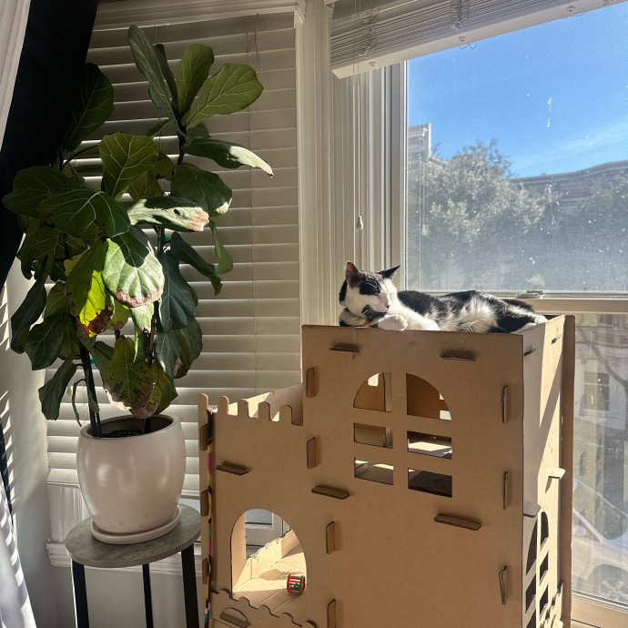 Jennifer Kitty Lover In Sf photo 2