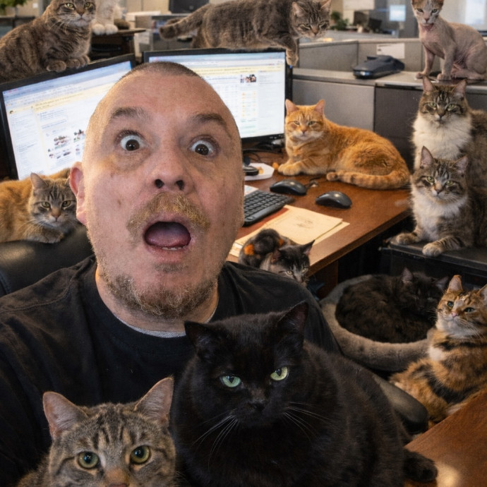 Loving Cat Dad Of 2 With 25 Years Exp