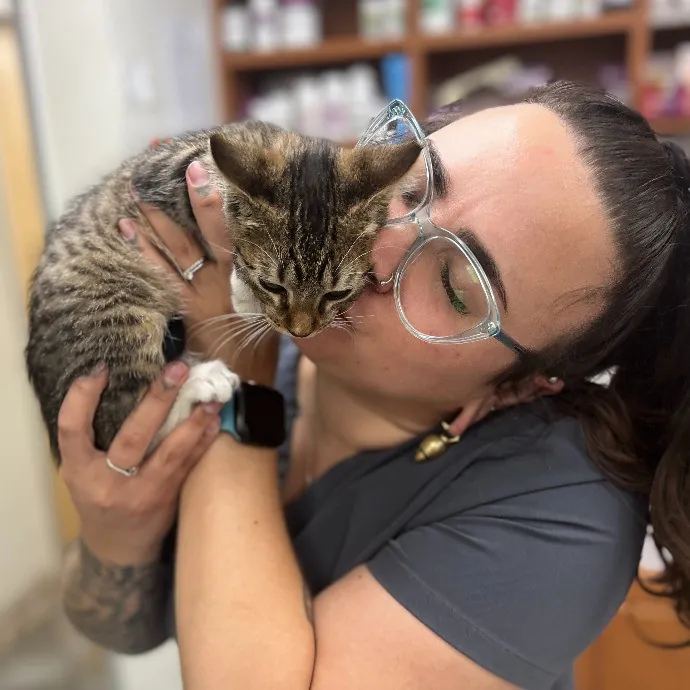 Experienced Vet Assistant With Care