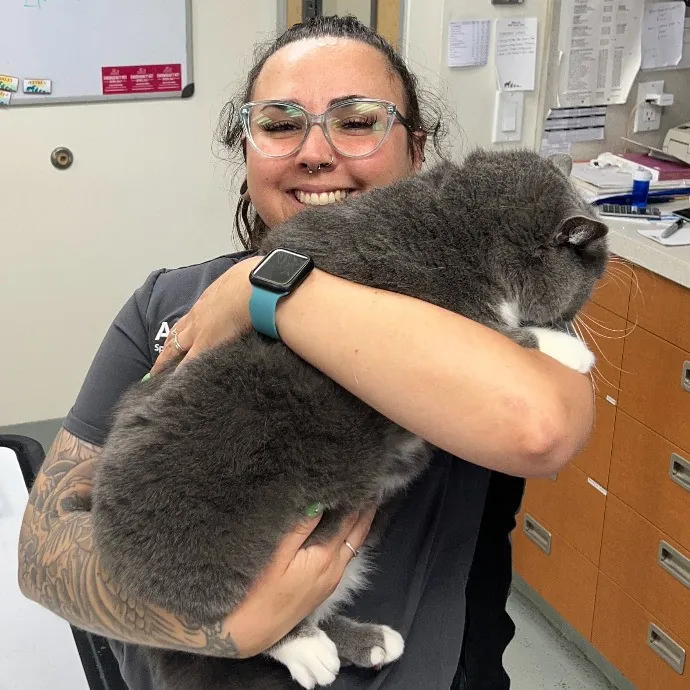 Experienced Vet Assistant With Care