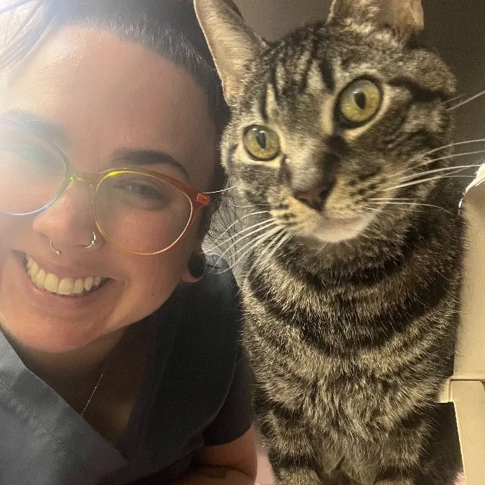 Experienced Vet Assistant With Care