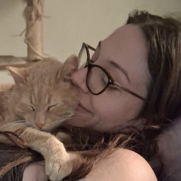 Pampurred Kitties photo 2