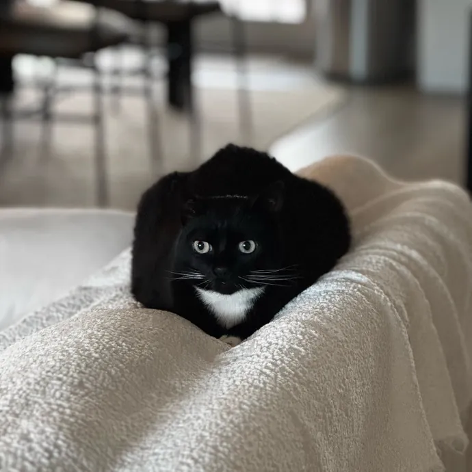 Naomi C.