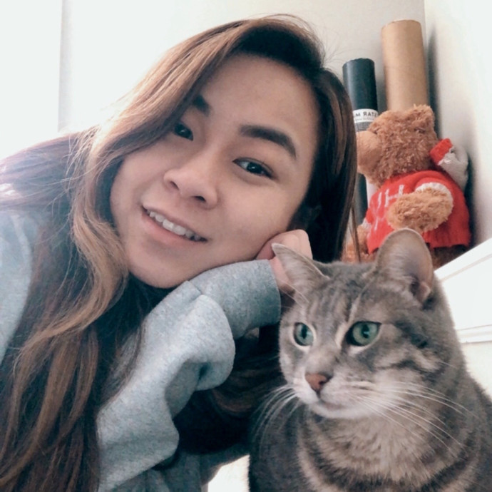 Josephine's Kitty Concierge