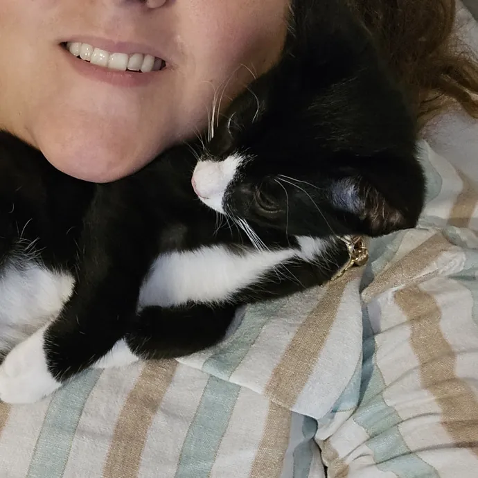 Chana's Meowtastic Cat Sitting photo 3