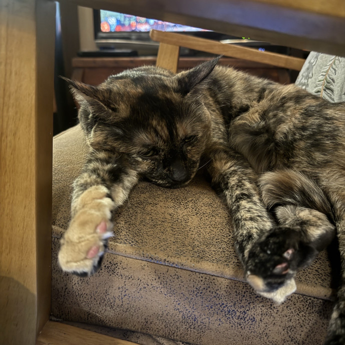 The Nine Lives Nanny photo 2