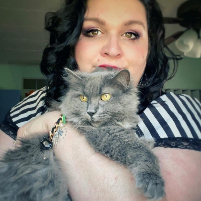 Your Cats New Best Friend