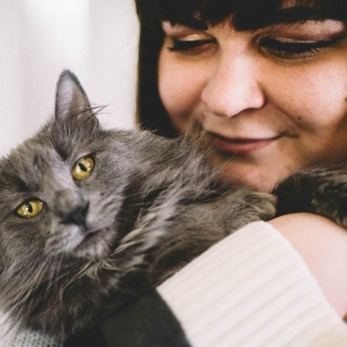 Your Cats New Best Friend