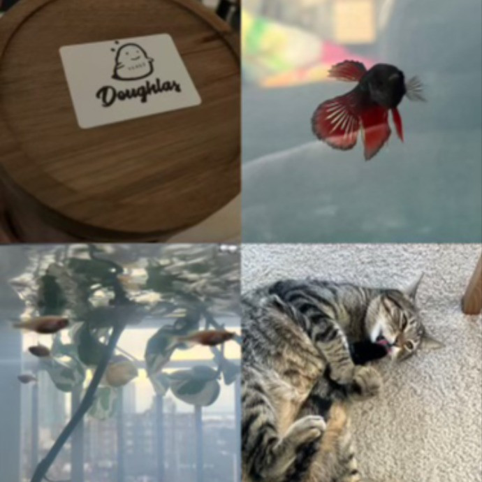 Misa's Critter Care - Seattle