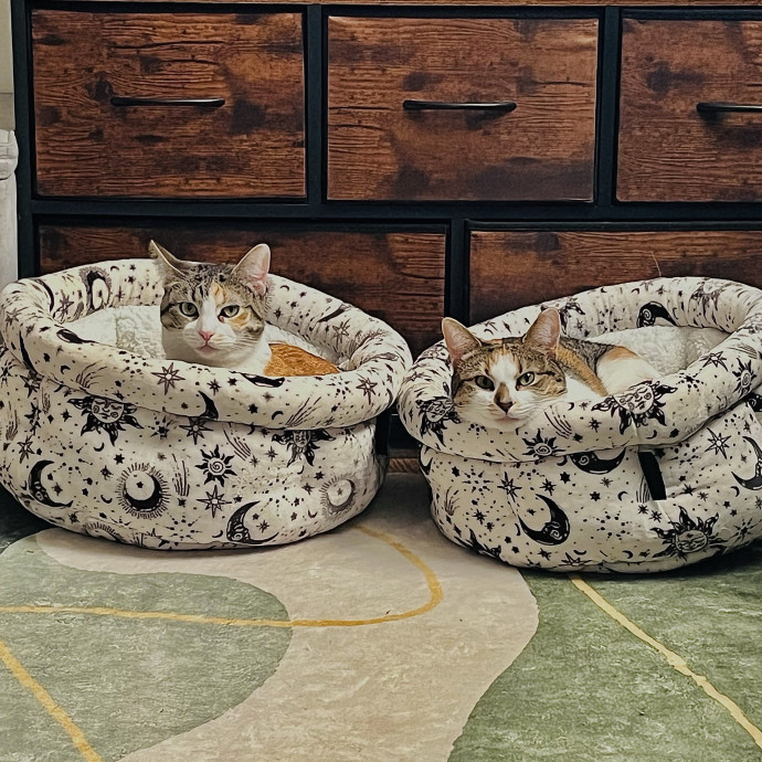 Sarah's Purrrfect Kitty Kare photo 2