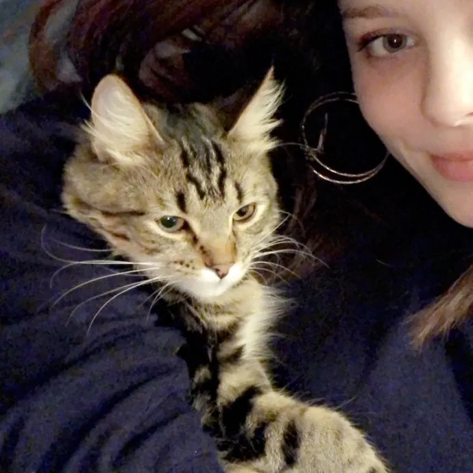 Myas Professional Cat Sitting