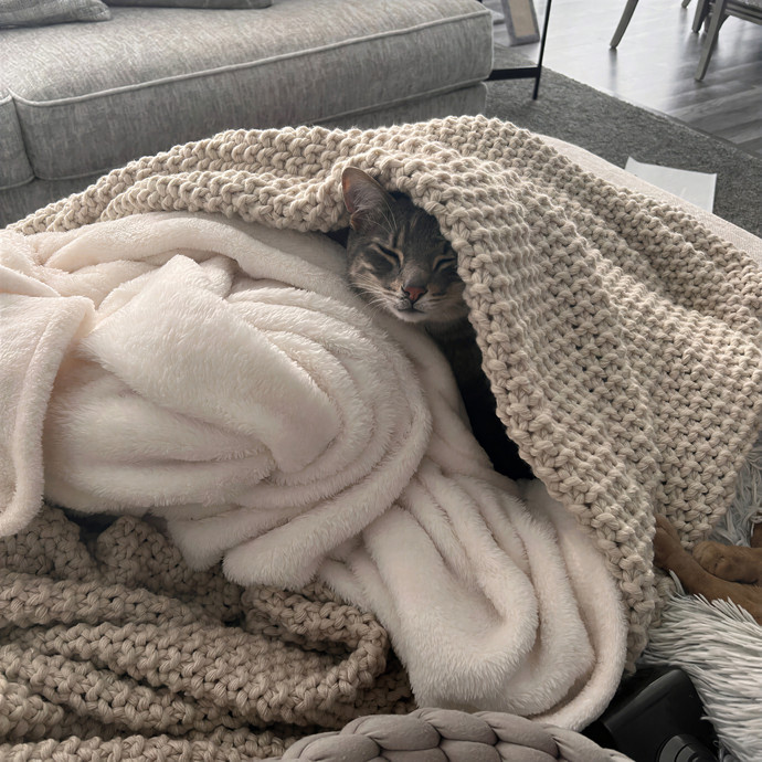 Myas Professional Cat Sitting