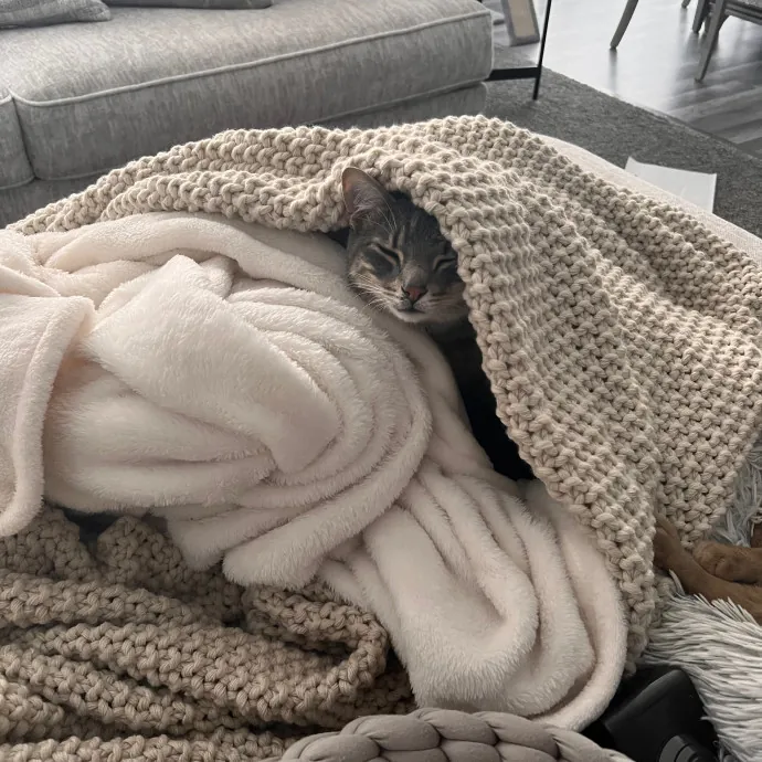 Myas Professional Cat Sitting