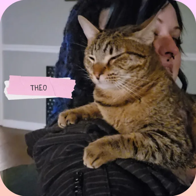 The Vet Tech Anxious Cats Trust