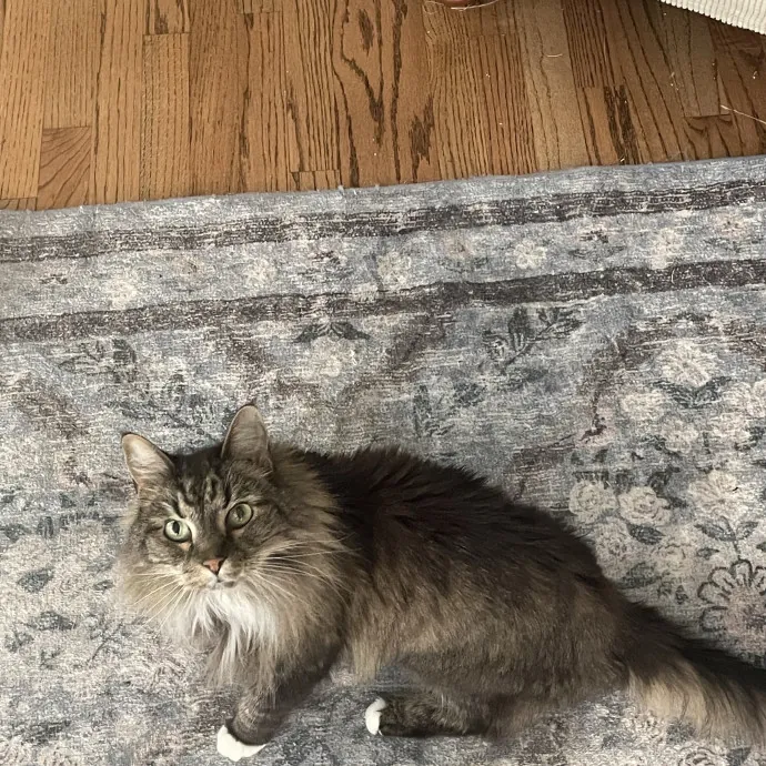 Jemma E.