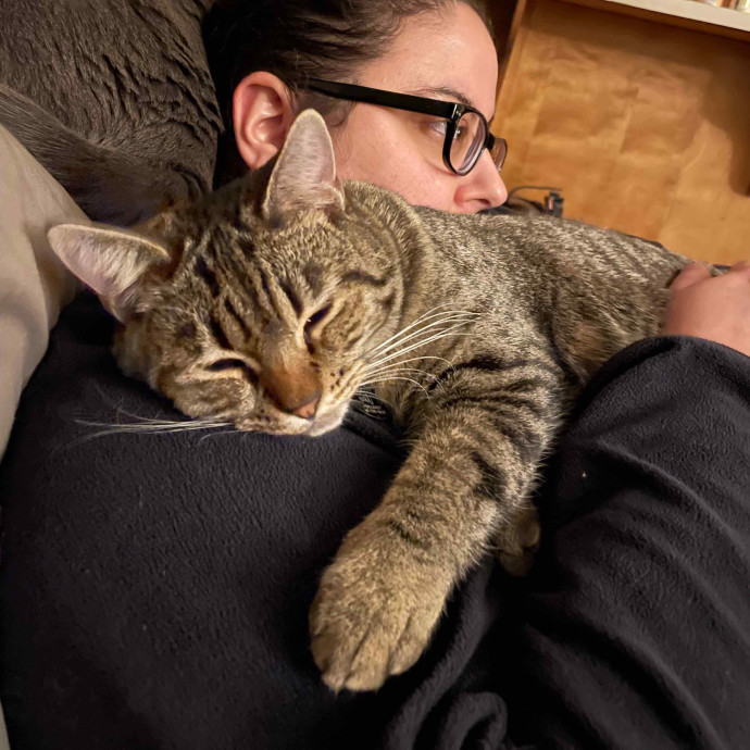 Experienced Cat Owner Who Loves All Cats