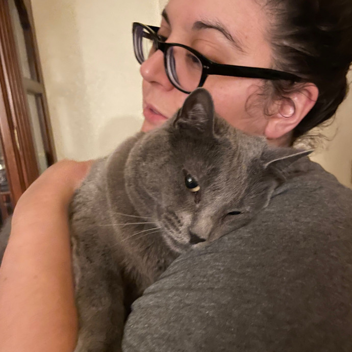 Experienced Cat Owner Who Loves All Cats photo 3