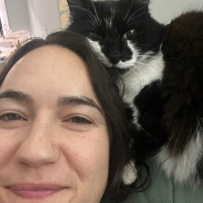 Cozy Cat Care